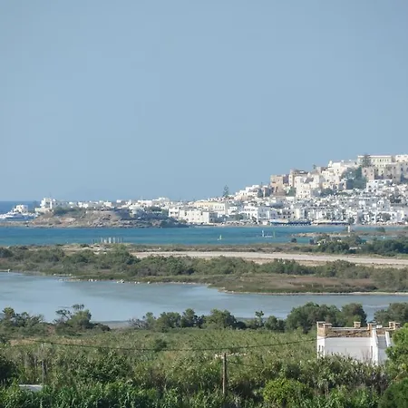 Naxian Spirit & *