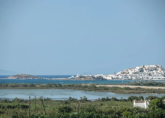 Naxian Spirit & 게스트하우스 Agia Anna (Naxos)